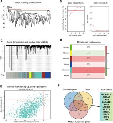 Experimental verification and validation of immune biomarkers based on chromatin regulators in ischemic stroke